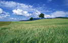 ���������� ���������� � �������� , ��������� ���� ���������� ���������